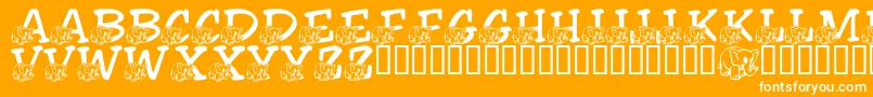 Saiba mais sobre a fonte LmsFriendlyElephant Fonte LmsFriendlyElephant – fontes brancas em um fundo laranja
