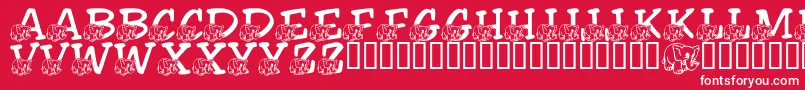 LmsFriendlyElephant Font – White Fonts on Red Background