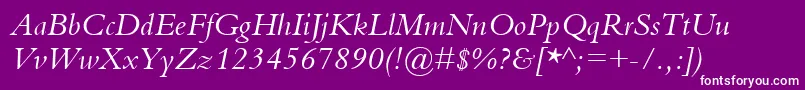 BemboItalic Font – White Fonts on Purple Background