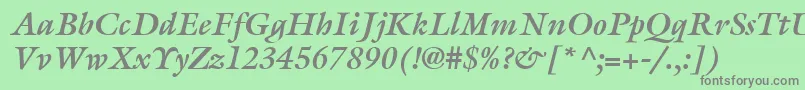 ItcGalliardLtBoldItalic Font – Gray Fonts on Green Background