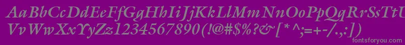 ItcGalliardLtBoldItalic Font – Gray Fonts on Purple Background