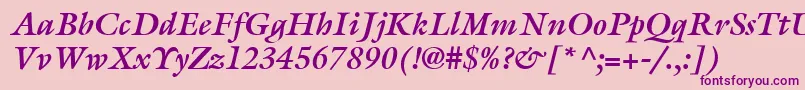 ItcGalliardLtBoldItalic Font – Purple Fonts on Pink Background