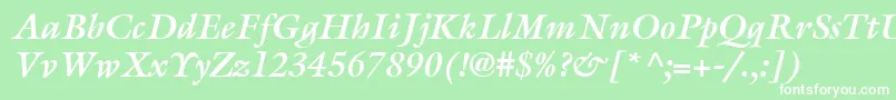 ItcGalliardLtBoldItalic Font – White Fonts on Green Background