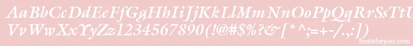 ItcGalliardLtBoldItalic Font – White Fonts on Pink Background