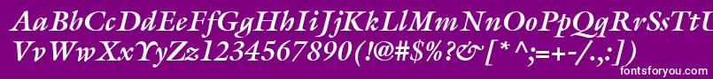 ItcGalliardLtBoldItalic Font – White Fonts on Purple Background