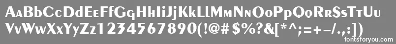 Pingv Font – White Fonts on Gray Background