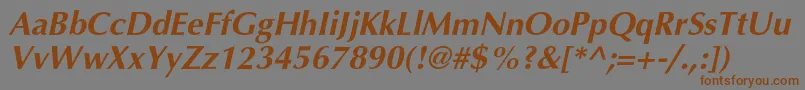 AgopushrcBolditalic Font – Brown Fonts on Gray Background