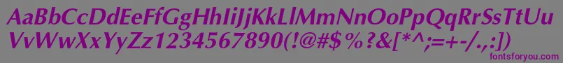 AgopushrcBolditalic Font – Purple Fonts on Gray Background