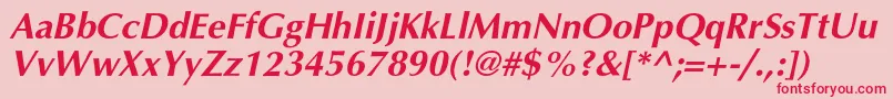 AgopushrcBolditalic Font – Red Fonts on Pink Background