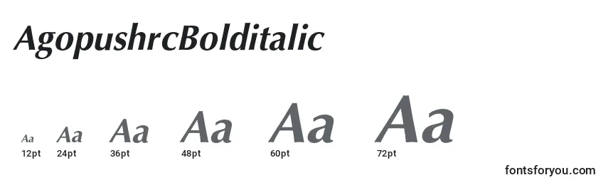 Размеры шрифта AgopushrcBolditalic