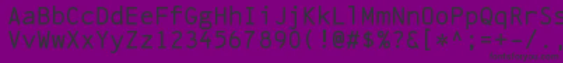 LinefeedRegular Font – Black Fonts on Purple Background