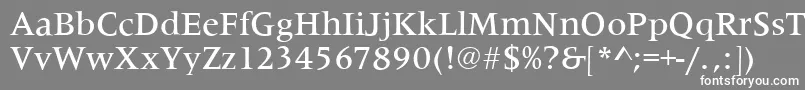 フォントMetaphorMediumRegular – 灰色の背景に白い文字