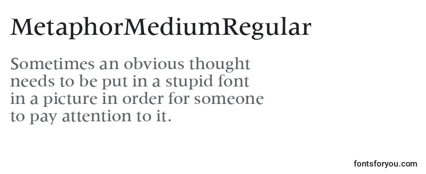 MetaphorMediumRegular フォントのレビュー