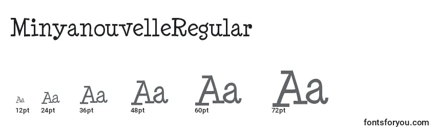 Размеры шрифта MinyanouvelleRegular