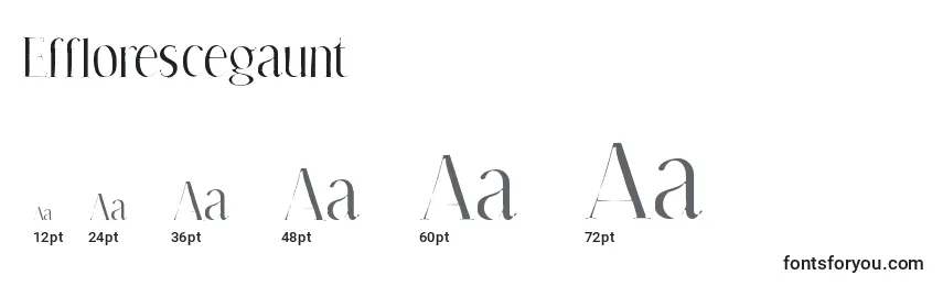 Efflorescegaunt Font Sizes
