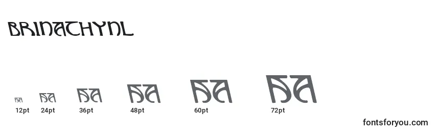 Brinathynl Font Sizes