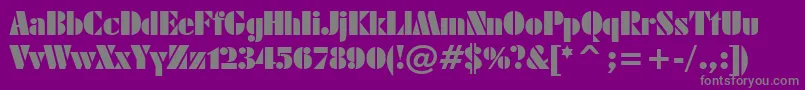 FuturaBlackBt Font – Gray Fonts on Purple Background
