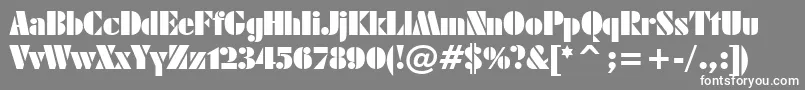 FuturaBlackBt Font – White Fonts on Gray Background