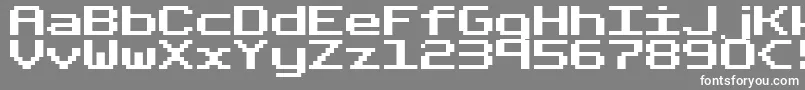 FixedBold Font – White Fonts on Gray Background