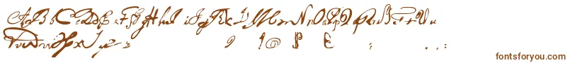 Шрифт Portuguesarcaicolectura – коричневые шрифты