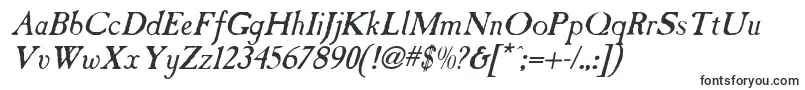 フォントCasablancaantiqueItalic – iOS用のフォント