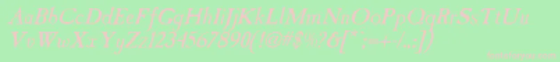 CasablancaantiqueItalic Font – Pink Fonts on Green Background