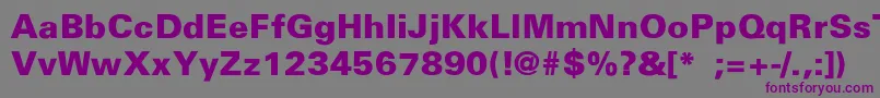 UniversBlackThin Font – Purple Fonts on Gray Background