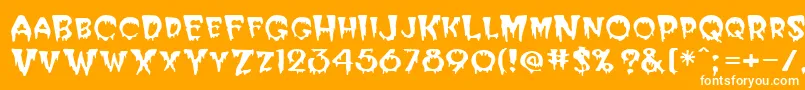 PhilipRegular Font – White Fonts on Orange Background