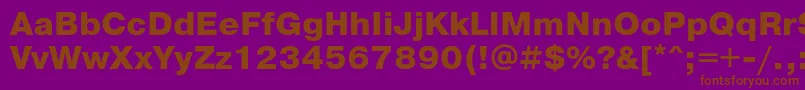 PragmaticaExtrabold Font – Brown Fonts on Purple Background