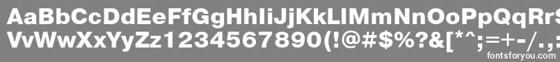 Czcionka PragmaticaExtrabold – białe czcionki na szarym tle