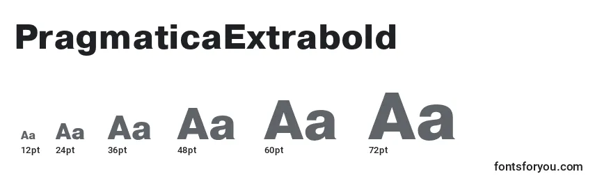 PragmaticaExtrabold Font Sizes