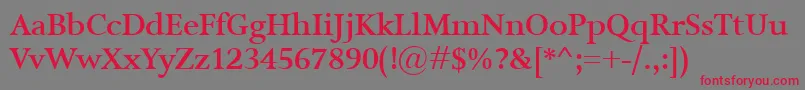 IsoldeBold Font – Red Fonts on Gray Background