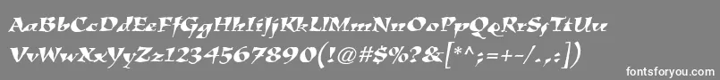 KigalistdItalic Font – White Fonts on Gray Background