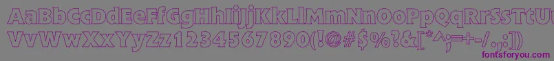 FlickBoldHollow Font – Purple Fonts on Gray Background