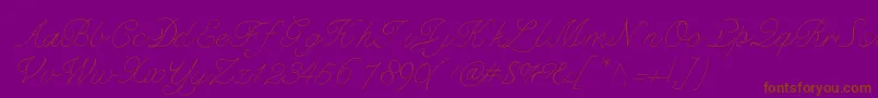 Czcionka Bdmarseille – brązowe czcionki na fioletowym tle