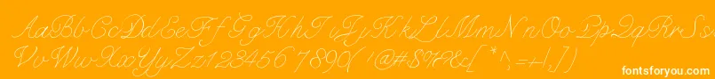 Bdmarseille Font – White Fonts on Orange Background