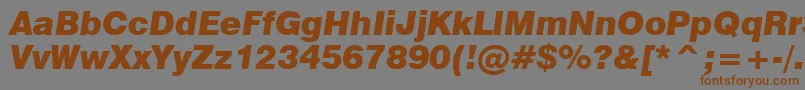Swiss721BlackItalicBt Font – Brown Fonts on Gray Background
