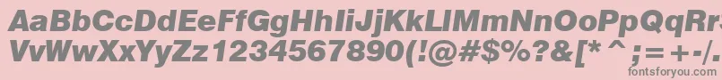 Swiss721BlackItalicBt Font – Gray Fonts on Pink Background