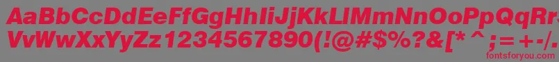 Swiss721BlackItalicBt Font – Red Fonts on Gray Background