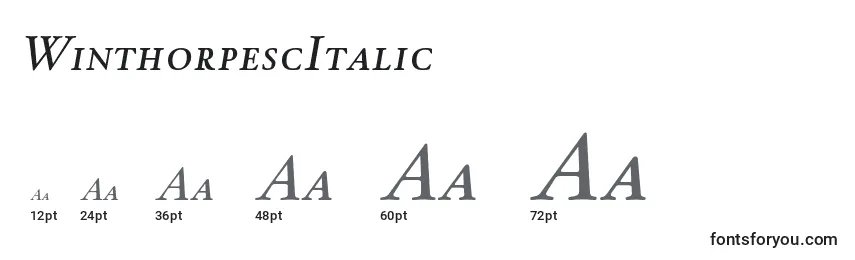 Размеры шрифта WinthorpescItalic