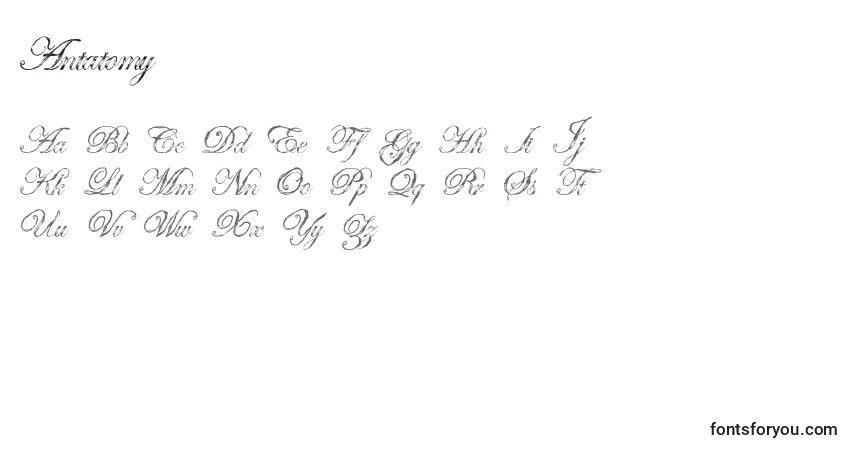 Schriftart Antatomy – Alphabet, Zahlen, spezielle Symbole