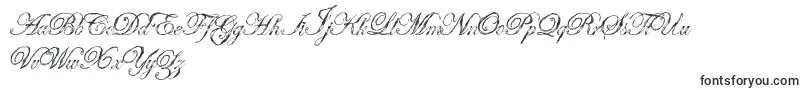 Antatomy-Schriftart – Kalligrafische Schriften