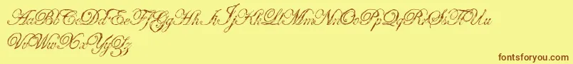 Antatomy Font – Brown Fonts on Yellow Background