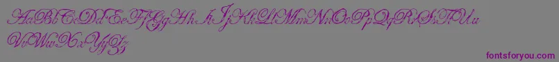 Antatomy-Schriftart – Violette Schriften auf grauem Hintergrund