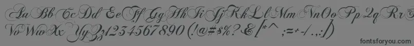Шрифт FlaemischeKanzleischrift – чёрные шрифты на сером фоне