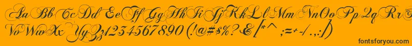 FlaemischeKanzleischrift Font – Black Fonts on Orange Background