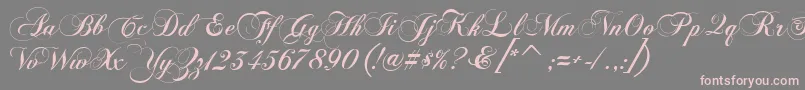 FlaemischeKanzleischrift Font – Pink Fonts on Gray Background