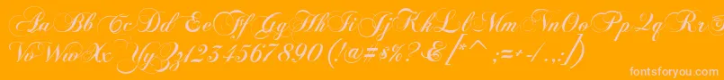 FlaemischeKanzleischrift Font – Pink Fonts on Orange Background