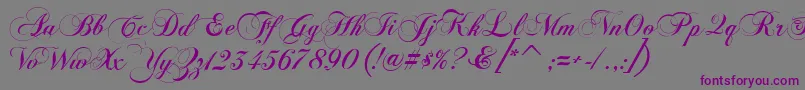 FlaemischeKanzleischrift-fontti – violetit fontit harmaalla taustalla