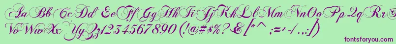 FlaemischeKanzleischrift Font – Purple Fonts on Green Background